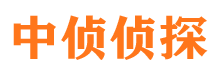 肥西外遇调查取证